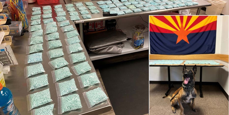 K-9 helps Cottonwood Police find 100K fentanyl pills during traffic stop; suspect arrested