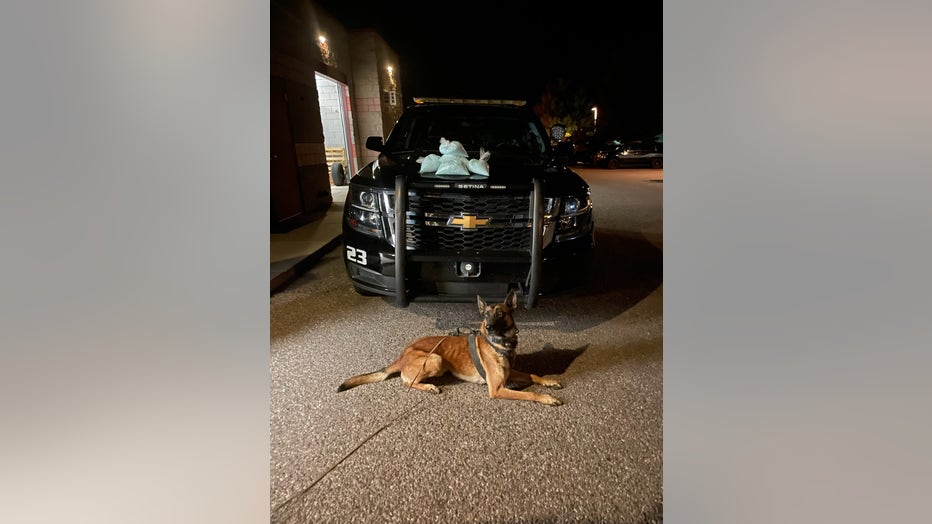 K-9 Otto