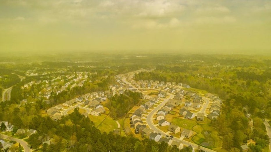 Haze made up of tree pollen from the pines of central N.C.