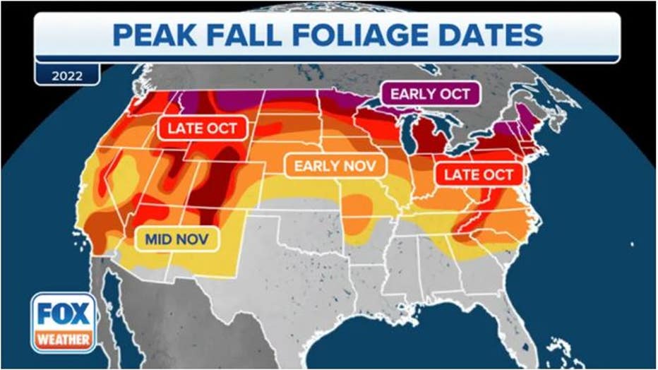 fall-folliage-dates.jpg