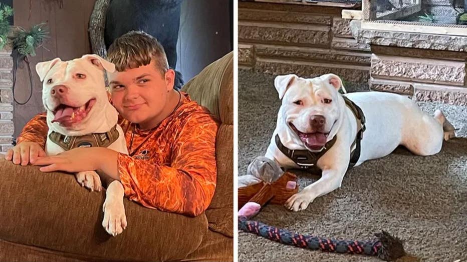 Photo: 14-year-old Walker, who suffers from hearing loss, hugs his dog, 6-year-old Dave, who is deaf.