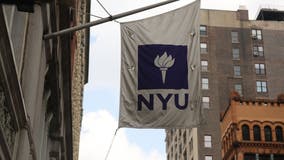 NYU fires chemistry professor after students sign petition complaining that his class is too difficult