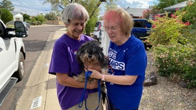 'He's like, I know I'm home': Arizona dog reunited with family after nearly a year