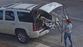 12-foot Halloween skeleton stolen from Austin neighborhood