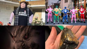 'Karen'-themed Halloween display, Power Rangers, creepy crawlers: This week's heartwarming, offbeat headlines