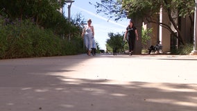 Flight attendants from overseas help walk MCSO animals while in Phoenix