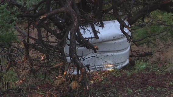 EF-1 tornado, reaching 95 mph, damages homes just miles from Williams