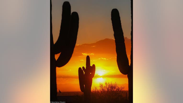 We love this shot of a cactus sunset in Apache Junction! Thanks Steve Henry for sharing!