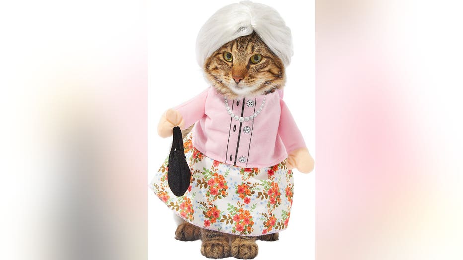 Granny-Cat.jpg