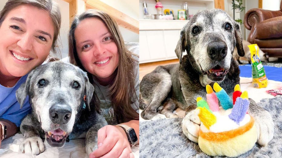 Lisa Flores (L) and Lauren Siler (R) are pictured with 19-year-old Annie, alongside an image of Annie with a birthday cake toy. (Credit: Lauren Siler)