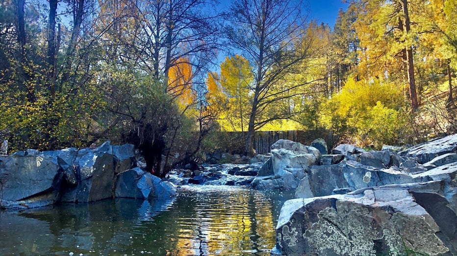 A refreshing fall look for Arizona! Thanks Karen Shaw for sharing!