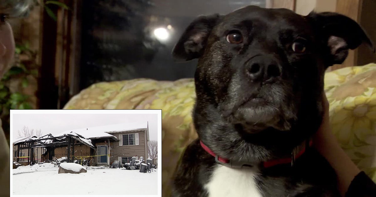 Dog who ran away during house fire reunited with family | FOX 10 Phoenix