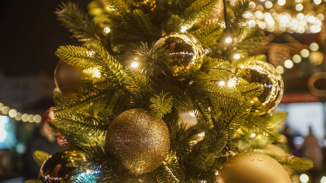 Holiday events happening in the Phoenix area this season - Vimarsana News