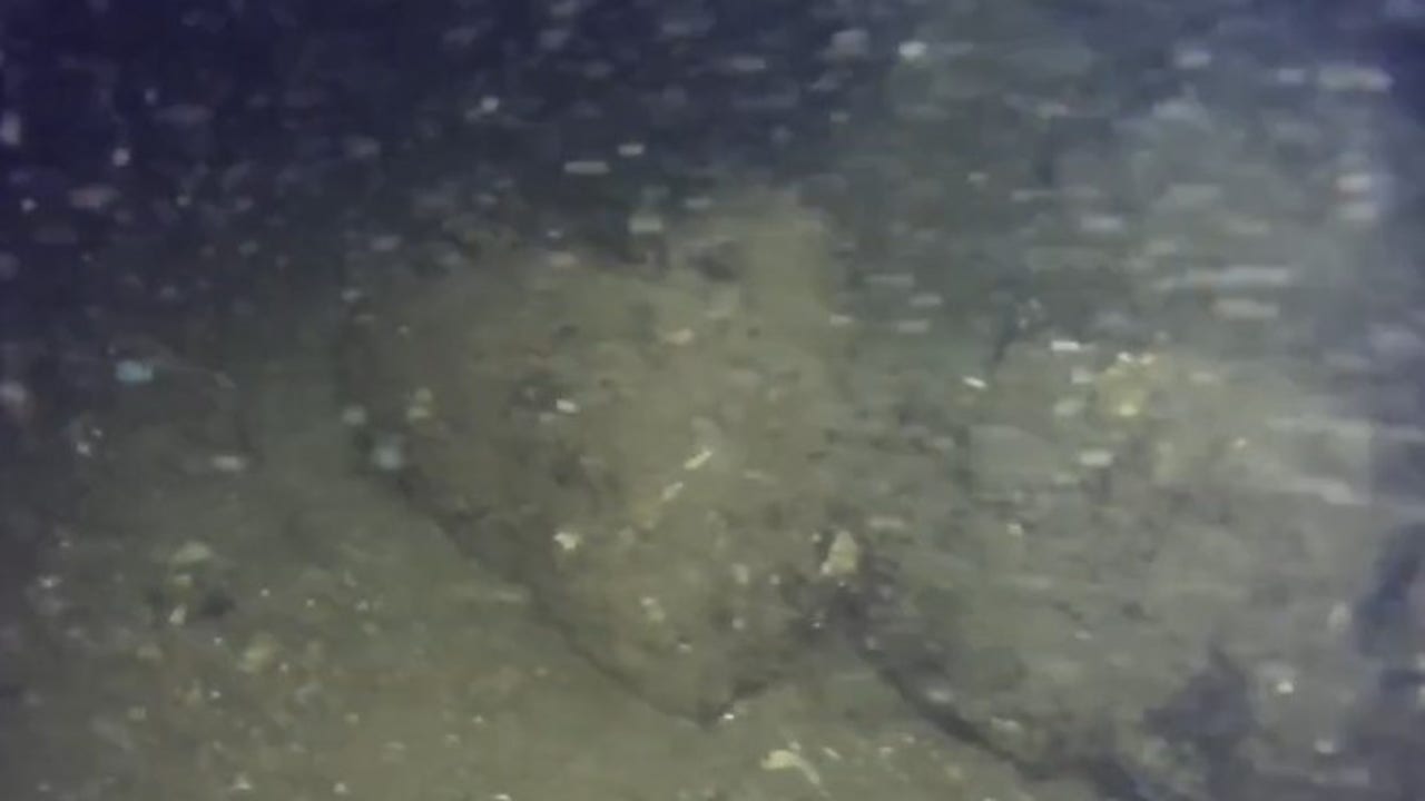 Stone fish trap, believed to be 11,000 years old, found near Alaskan coast Stone fish trap, believed to be 11,000 years old, found near Alaskan coast