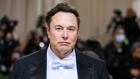 Elon Musk: 'I recommend voting for a Republican Congress'