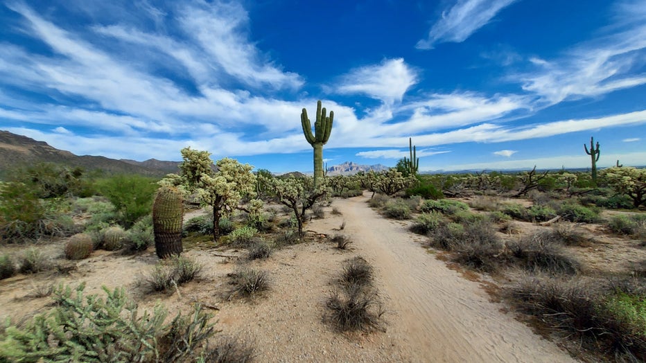 No snow in sight. That's what makes parts of Arizona special during the winter! Thanks David Zibell for sharing this photo from the Usery Mountain Regional Park in Mesa!