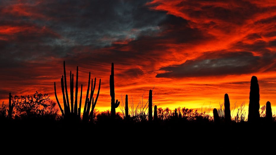 This photo reminds us there's so much for us to be thankful for in Arizona! Have a great Thanksgiving everyone! Thanks Jim Hendrick for sharing this photo from Organ Pipe National Monument!