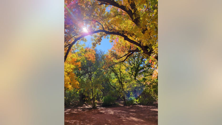 Let's enjoy those fall colors while we still can! Thanks Stephanie Wiltz for sharing this photo from Superior!