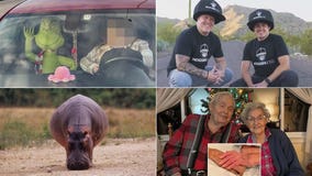 'Seusspicious' passenger, hippo swallows toddler, big hats: This week's heartwarming, unusual headlines