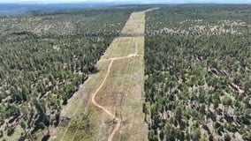 How SRP is thinning forests to prevent wildfires, keep power lines safe in Arizona