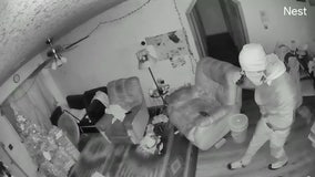 Security cameras catch burglar inside Arizona home