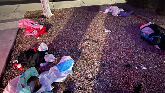 Thieves steal child's holiday inflatables in Glendale