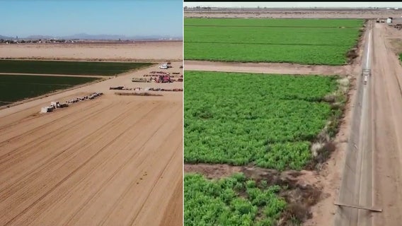 Coolidge Dam records highest water level in 5 years, a relief for Arizona farmers