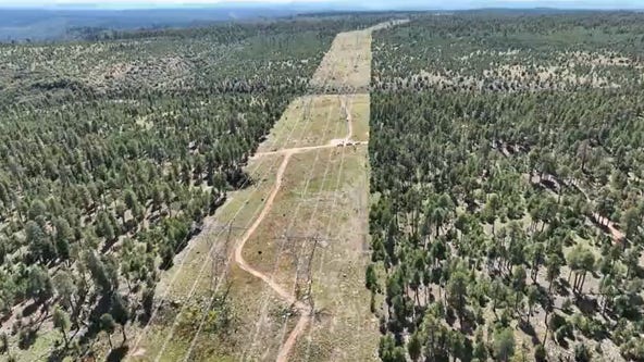 How SRP is thinning forests to prevent wildfires, keep power lines safe in Arizona