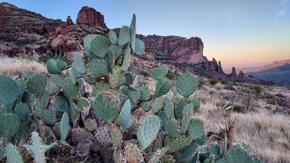 Forget the cold. Nature is always nice to enjoy! Thanks David Zibell for sharing!