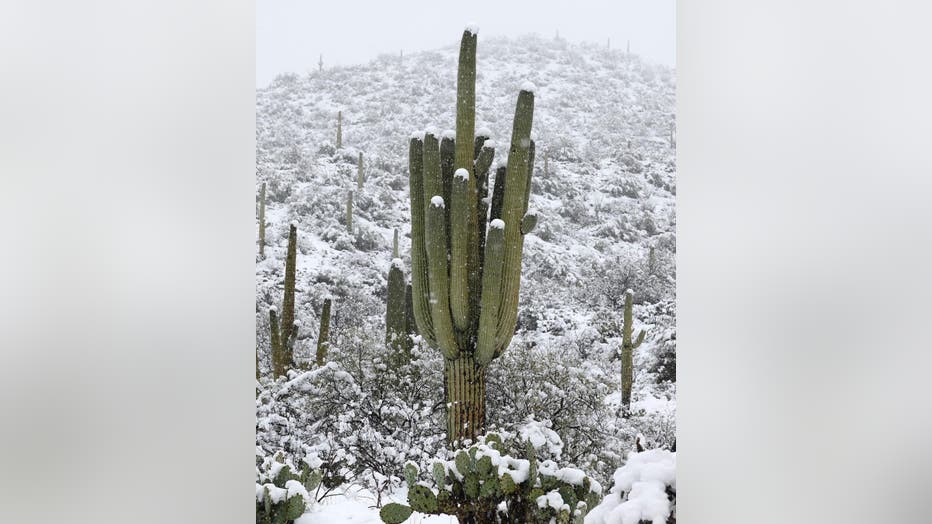 A nice reminder, for all of us, that winter exists in Arizona! Thanks Josh Lien for sharing this beautiful photo with us all!