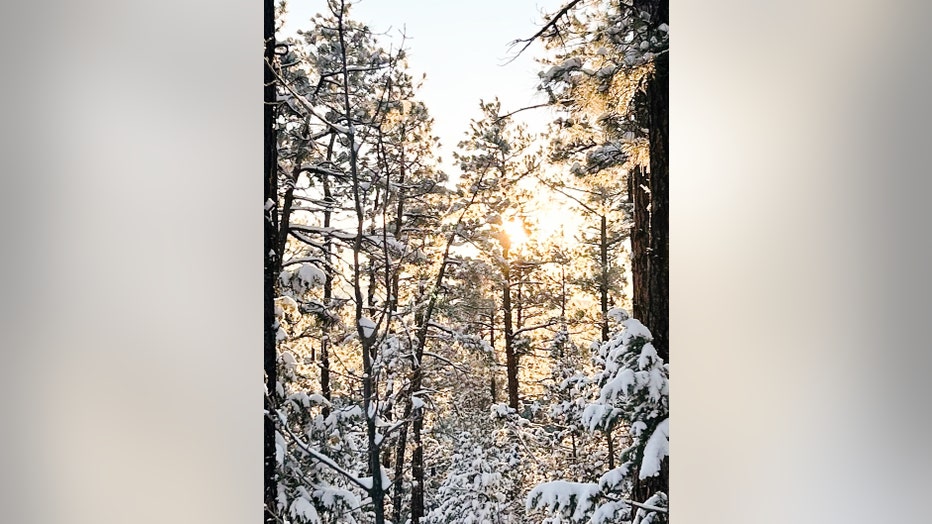 Who says in Arizona, you can't be walking in a Winter Wonderland? Thanks Abbey Estes for sharing this photo, taken in Show Low!