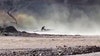 Arizona driver rescued from flooded Tonto Creek by helicopter crew