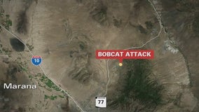 Pinal County man treated for rabies after bobcat attack