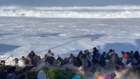 Wipeout: Huge waves crash into crowd at Hawaii surf competition