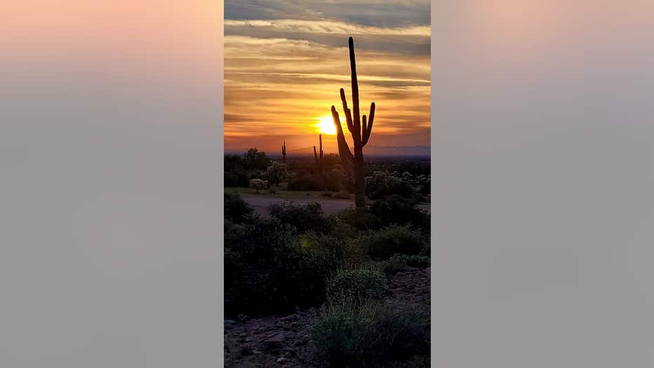 Here's a nice sunset to enjoy, as we head into the weekend. Thanks Kim Thorne for sharing.