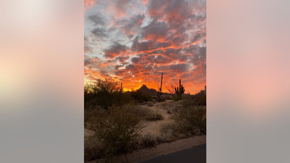 Enjoy the nice sunset while it's still around, especially as we are expecting stormy weather this weekend! Thanks Jim Tomshack for sharing this nice photo from Scottsdale!