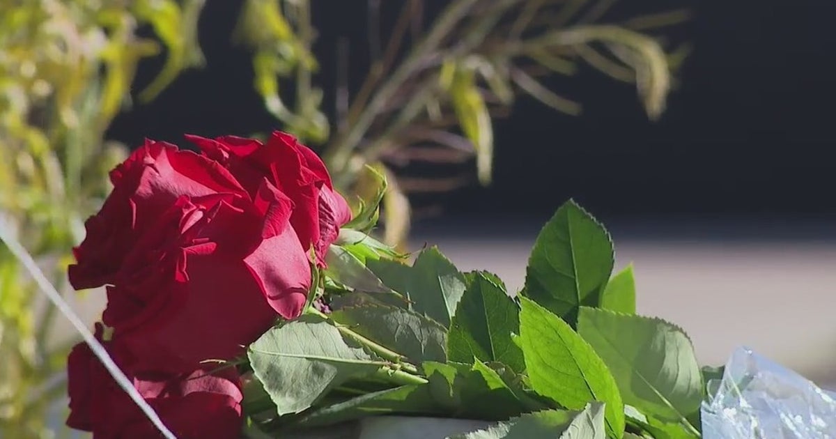 Child, 12, dies after being hit by car in north Phoenix | FOX 10 Phoenix