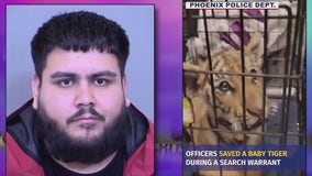 Arizona man indicted, accused of trying to sell tiger cub on social media