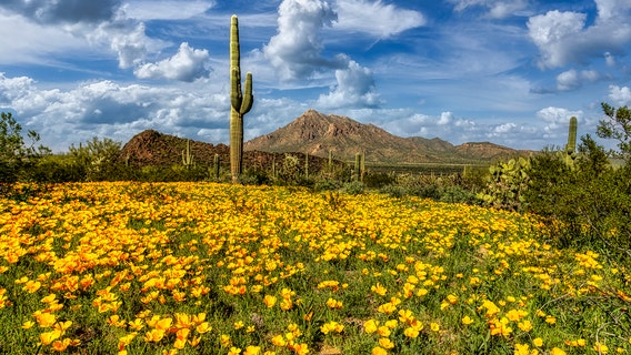 Arizona Photo of the Day - February 2023