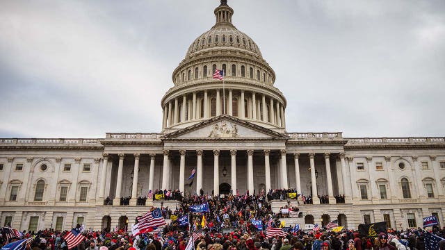Capitol Riot: Man pleads guilty to attacking DC Police officer with stun gun