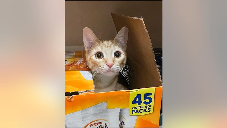 Cheddar has found a fur-ever home with the trooper who rescued him.