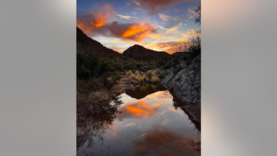 We certainly love that evening look, Arizona! Thanks Nick Castro for sharing!