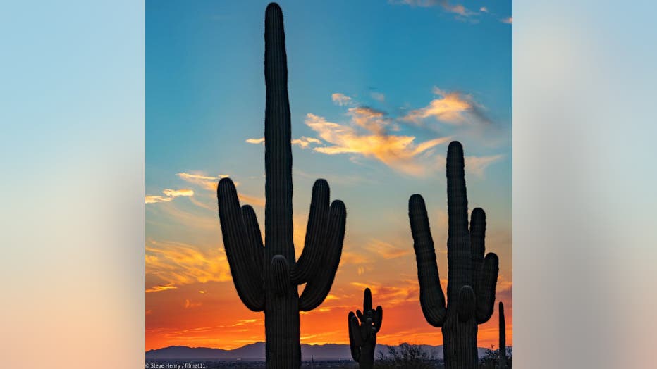 A striking Arizona sunset as we head into Super Bowl Weekend! Have fun, stay safe, and let's enjoy some football this weekend! Thanks Steve Henry for sharing!