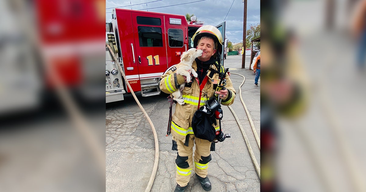 Dog rescued from mobile home blaze: Phoenix Fire | FOX 10 Phoenix
