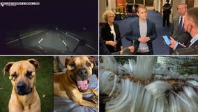 Truckers talk about creepy sighting, ex-Navy pilot reports seeing UFOs: This week's top offbeat headlines