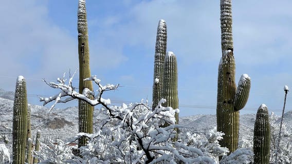Major Arizona storm: 'Enormous' amounts of snow, damaging winds, power outages