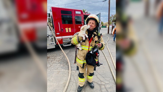 Dog rescued from mobile home blaze: Phoenix Fire