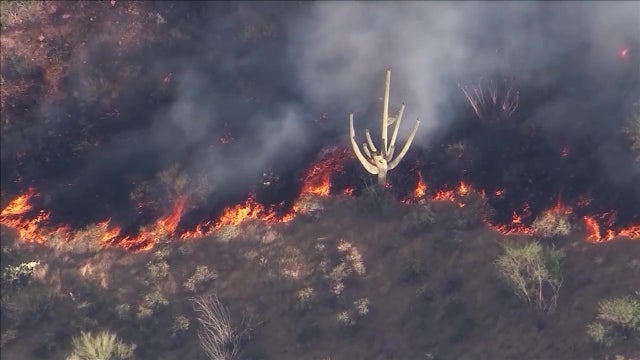 Wildfire Watch: Arizona officials provide fire prevention tips ahead of upcoming season