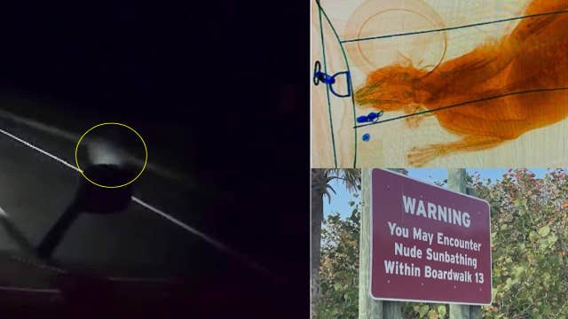 Was it a ghost or glare on an Arizona highway; Easter marshmallow blunder: This week's top offbeat headlines