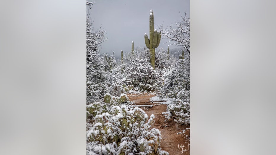 Are you missing the snow yet? Thanks Chuck Jentile for sharing this nice Arizona winter photo with us!
